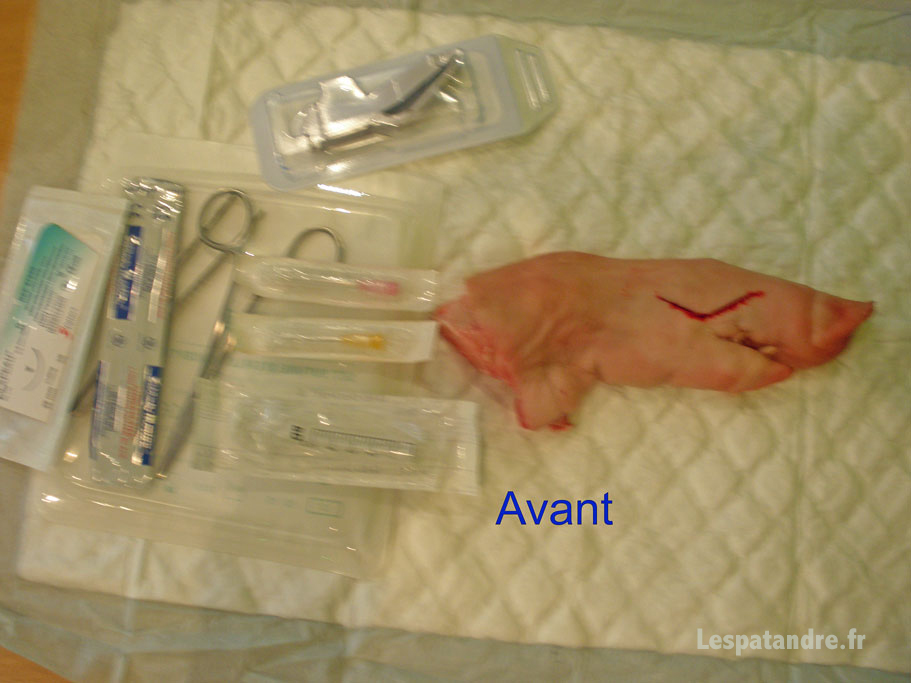 Formation Médicale point de suture sur pied de cochon - Avant